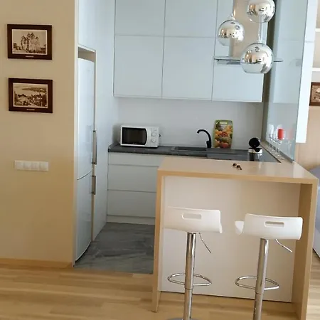 Comfortable French Quarter акумулятори світло інтернет завжди Apartmán Kyjev